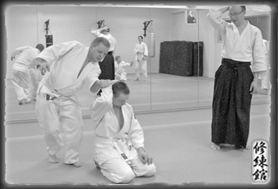 aikidoleiri